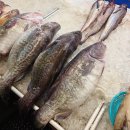 중앙수산 이미지