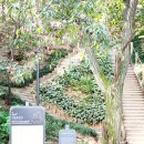 대성사목불좌상 | 서울둘레길4코스 / 대모산 · 우면산 코스
