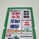 크린토피아코인워시부개3점