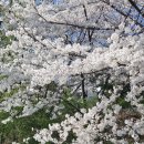 "느끼지 못하는 뇌, 성격탓 일까요?" [브레인트레이닝센터 명상] 이미지