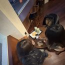 지중해건강랜드 이미지