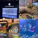 The Boss Baby 2 | 대구아쿠아리움 The zoo 다흑과 함께하는 비바리움존 후기, 대구 파충류체험, 대구 아기랑 동물체험