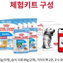 강아지 사료 샘플 추천! 신청 사이트 모음 (22년 5월 최신 업데이트)
