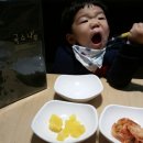 국수나무 함안점