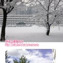 HanKyoMae☆ - 경북 안동 성희여자고등학교 학교사진 이미지