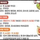 영암시장 | 영암 무화과 축제 일정 초대 가수 후기 총 정리 2024