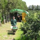 성민농장 이미지