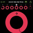 아벨리오
