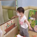황금알낳는꼬꼬