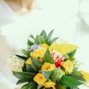 데일리로그감성사진관 이미지