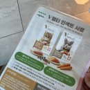 브이아이피카스토어 | [고양이 사료] “브이멀티인섹트고양이사료 연어맛 1.2kg” 고양이 키튼사료 구매 솔직 후기!
