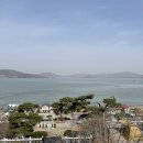 언동마을 신일(아) | [강화/캠핑] 강화도 브라운캠핑장 씨사이드힐 캠핑장 브라운 3번 4번 오크 : 강화도 카페 카페이림
