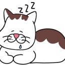 트레이더스베이커리월평점