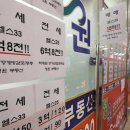 세일부동산중개사무소 이미지