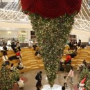 12/2 크리스마스 테라리움 이미지