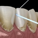365플러스치과의원 이미지