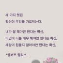 화갤러리 이미지