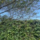 새별수산 이미지