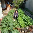 영이용소 이미지