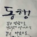 다포굿즈