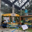 제주in향기 | 포켓몬 원더 아일랜드 in 제주 '포켓몬 그린 가든 스탬프 랠리' 후기 5편 <이브이의 컬러풀 가든>(경품...