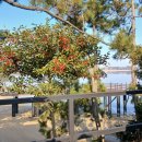 풀비치펜션 이미지