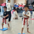 태권명가 태권도장 이미지