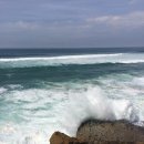 미로속으로 떠나는 역사 여행 | 동화 속으로 떠나는 하루, 신트라 차량 투어 후기