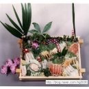 우럭농장 이미지