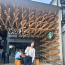 후쿠오카 여행 준비! 헬로톡 HelloTalk 일본 친구 만들기 후기
