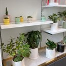 바구니꽃집 | 송파역 꽃집 추천✨ | 칠순 선물 꽃 바구니 맞춤 제작 후기 | 헬리오플라워바이수