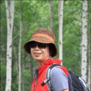 자작나무힐 이미지