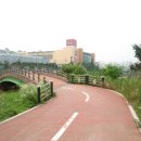 정자동 소로11 이미지