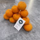 오앤비팜스테이 이미지