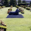 평화만들기 이미지