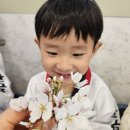 코리아탑태권도장 이미지