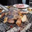참뽈살 이미지