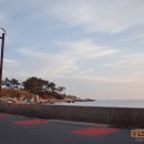 해밀모터스 이미지