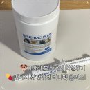 닥터펫 플러스 동물병원 | 펫에그 비니백 플러스 유산균. 11마리 견주가 찐리뷰하는 강아지 유산균 추천!