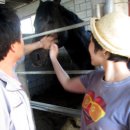 승은농장 이미지