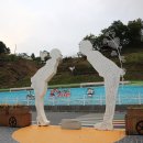 흥전1리 이미지