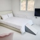 골드스푼애견풀빌라 이미지