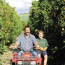 오렌지 농장 이미지