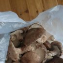 단산농원 이미지