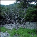 공곶이가는길 이미지