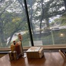 용호동 성모프라자 | [부산 현지인 추천] 용호동 골드파파 수제 햄버거 맛집