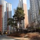 금오13길 네이버블로그