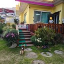 소풍펜션 | 울산 바다소풍애견펜션 재방문 후기 또 가고 싶은 이유