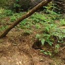 햇볕어린이집 이미지