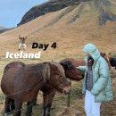 더 라바 PC방(THE LAVA PC방) | 동굴 • 요쿨살론 • 다이아몬드비치 | 아이슬란드 말 | 라바모스 | Icewear 쇼핑 | 레이캬비크 에어...